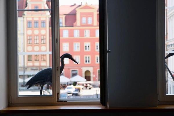 Grande Appartamento 100M2 Rynek 24H Self Check-In Wroclaw Ngoại thất bức ảnh