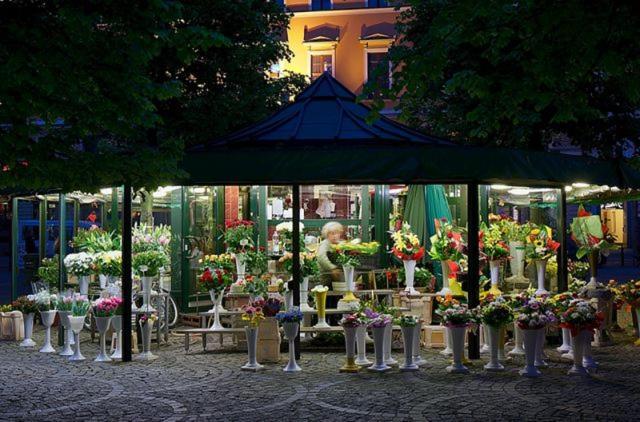 Grande Appartamento 100M2 Rynek 24H Self Check-In Wroclaw Ngoại thất bức ảnh